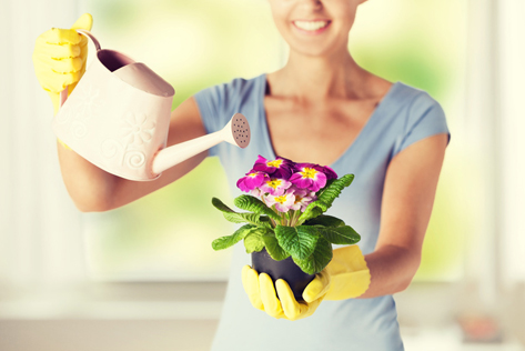 woman holding pot with flower and watering can